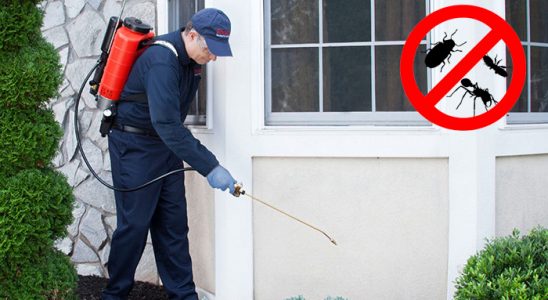 Gaziosmanpaşa Böcek İlaçlama böcek ilaçlama ve haşere kontrolü — ilaclama-tr.com
